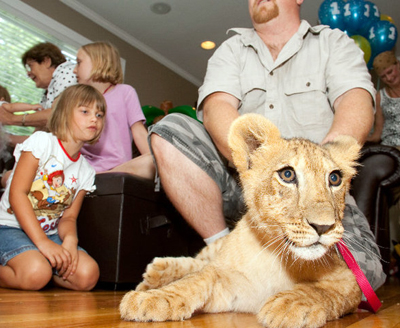 Our Lion Cub